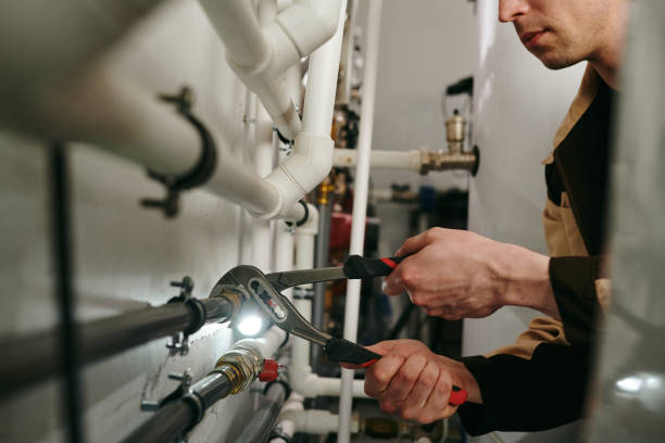 Best Affordable Plumbing Services  in Elk Rapids, MI